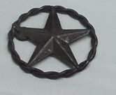 texas star!