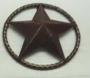 texas star!