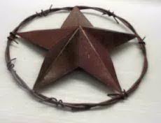 texas star!
