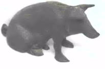 Pig Bank