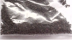 Purple Turnip Seed