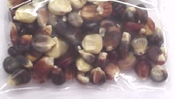 Indian Corn Seed