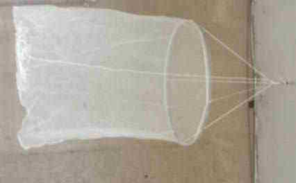 SHAD TRAWL, trawl, shad trawl