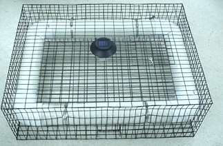 Frog Trap