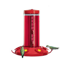 hummingbird feeder!