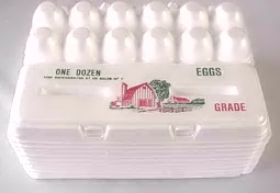 White Foam Egg cartons
