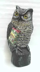 Garden Defense Owl