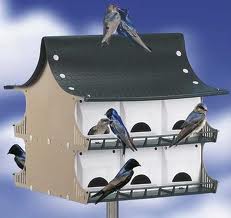 Purple Martin Birdhouses - Purple Martin Birdhouses - The perfect birdhouse!